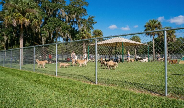 Galvanized chain link fence dog park recreational facility Florida